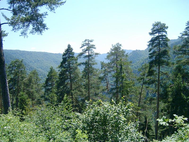 20120616 034.jpg